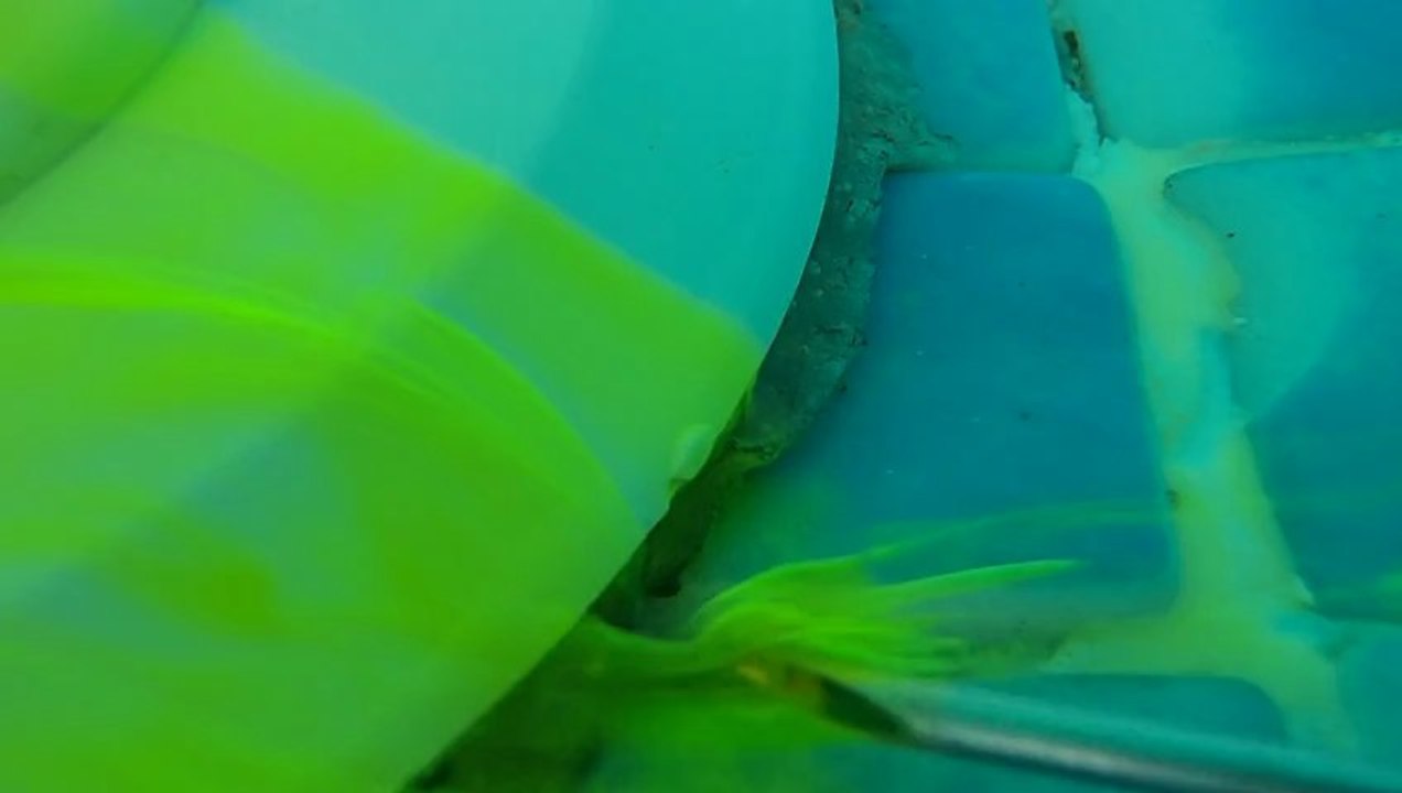 RECHERCHE DE FUITE A LA FLUORESCEINE