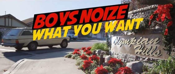 BOYS NOIZE  - WHAT YOU WANT (OFFICIAL)