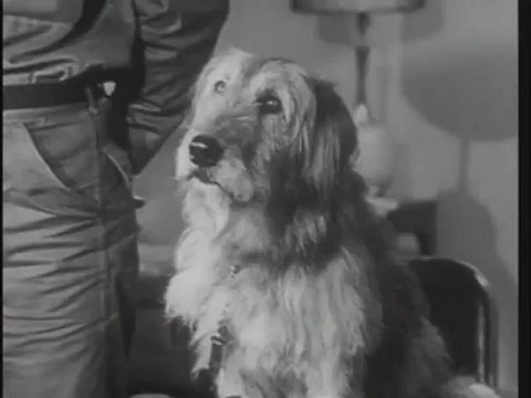 Munroe Unsold Pilot Part 28