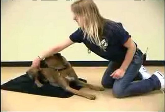 인터넷바카라 ☤☣B­a­c­6­6­6.c­o­m☣☤ 온라인바카라 ☤☣B­a­c­6­6­6.c­o­m☣☤ 바카라사이트