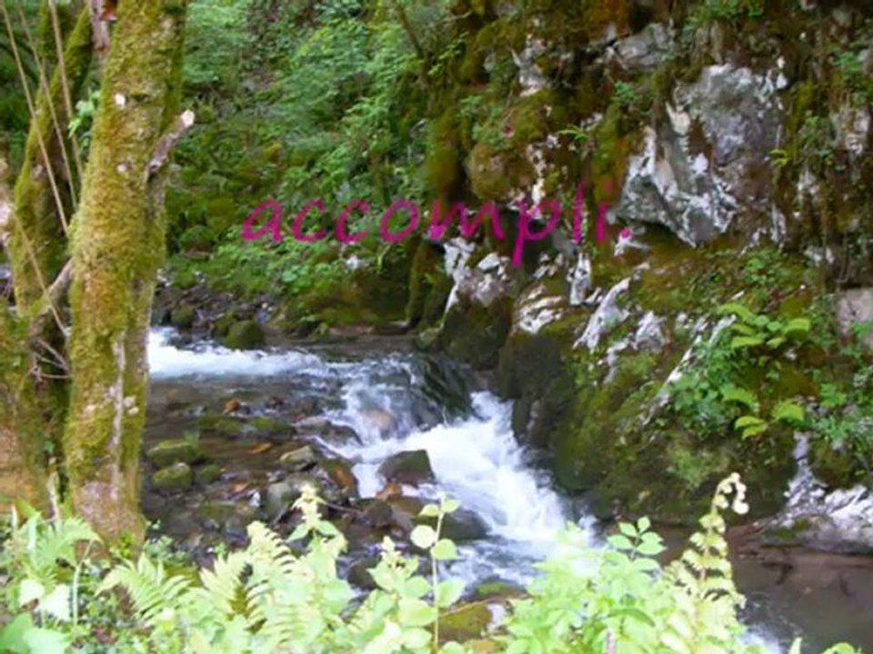 Message de vos Anges