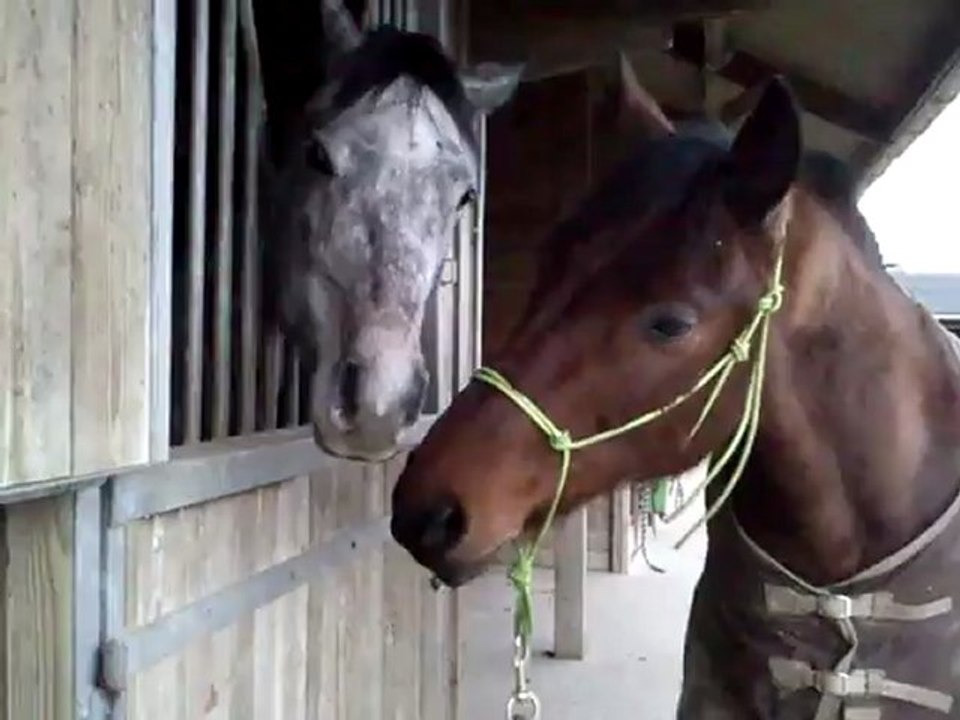 Unann et Rodeo 07 02 2013