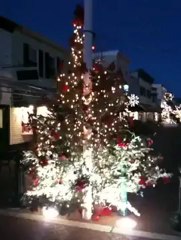 Mehran muslimim Walking Down Washington Street