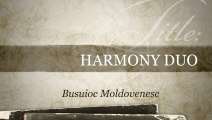 Busuioc Moldovenesc-Muzica de petrecere-Harmony Duo