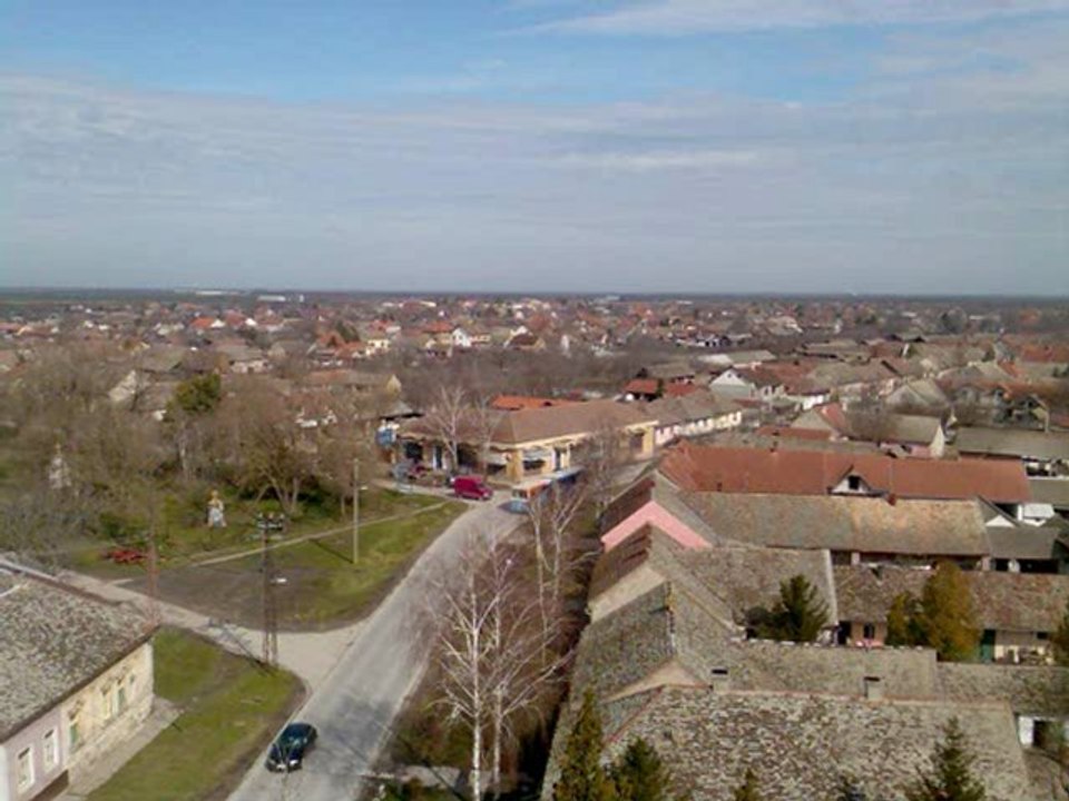 kovilj 2013 go.