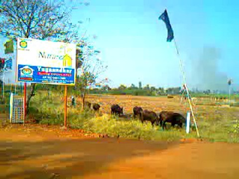 Video Gallery 4 - Nature City Vijayawada VGTM UDA Plots by Yugandhar Housing