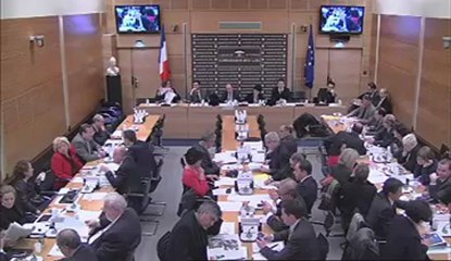 Intervention lors de la Commission des Lois - 12/12/2012