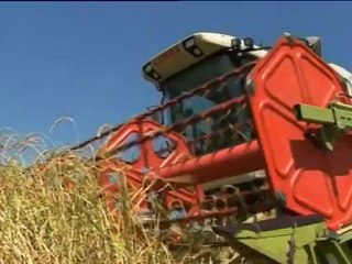 La Escuela del Arroz acerca la cocina tradicional a los ciudadanos (subtitulado)