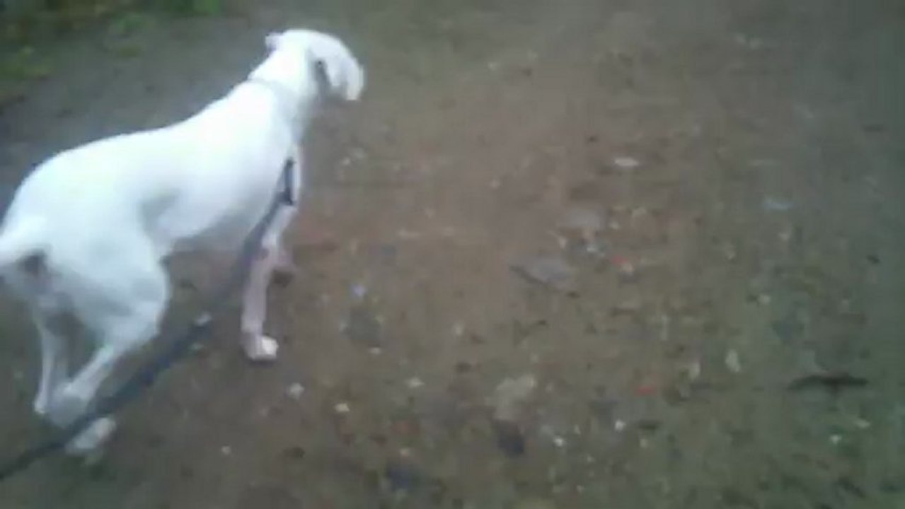 Gemma aux allures, 8 Février 2013