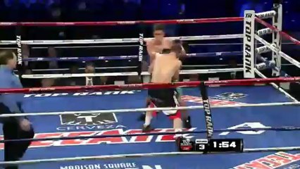 2013-01-19 Mikael Zewski vs Brandon Hoskins