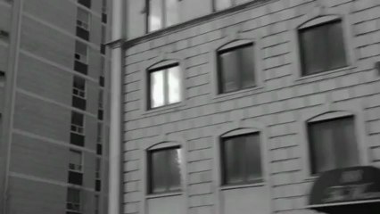 The Darcys - Josie [Official Video]