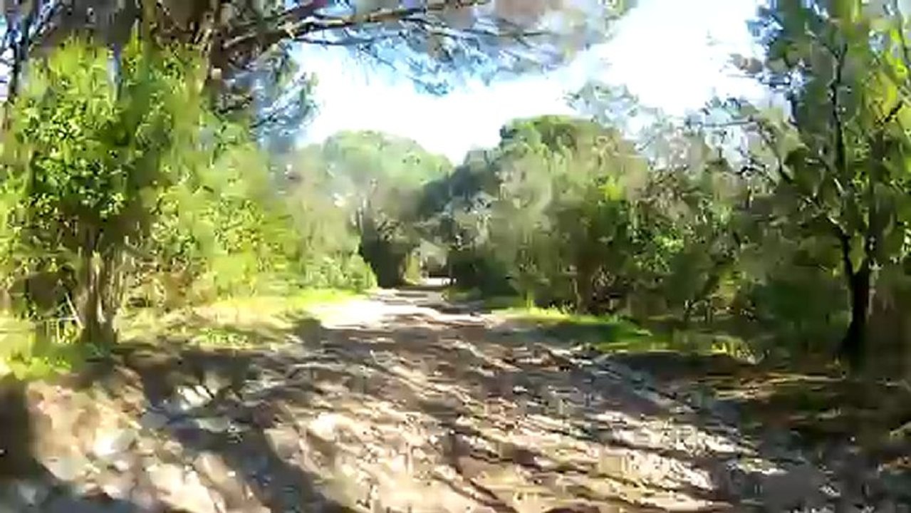 Trilho 12 2013-02-07 Monsanto