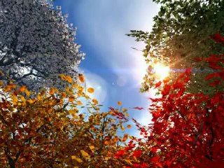 sourat Ar-Rahman - Al-Ajmi - سوره الرحمن عروس القران بصوت العجمي