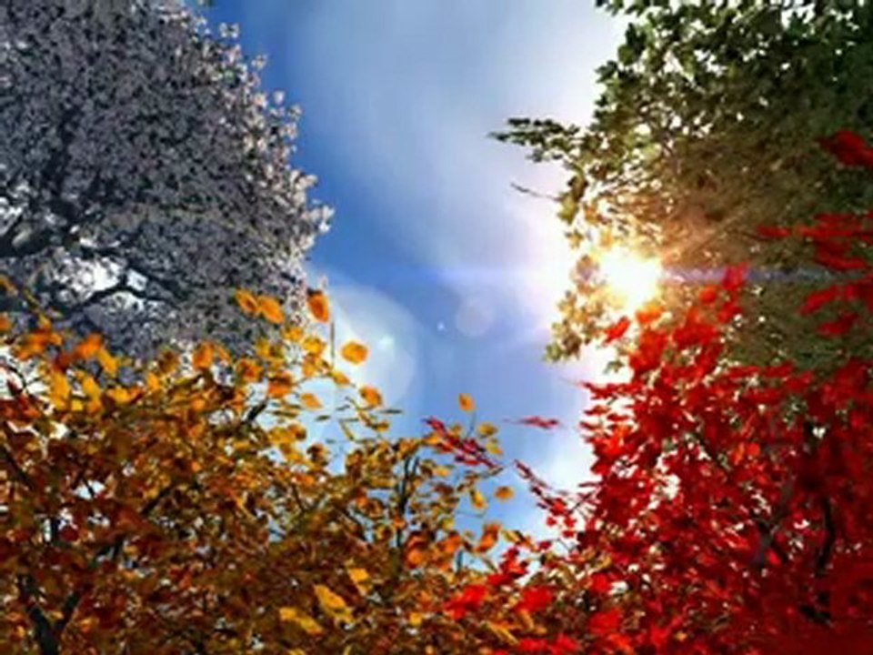 sourat Ar-Rahman - Al-Ajmi - سوره الرحمن عروس القران بصوت العجمي