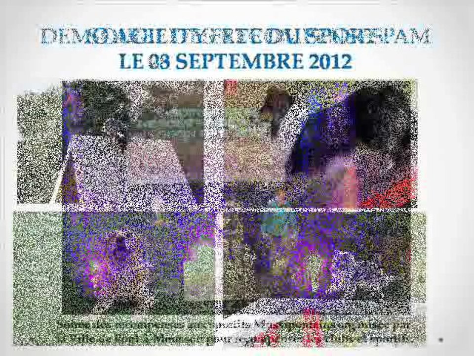 section agility 2012