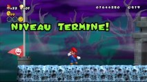 New Super Mario Bros. Wii - Monde 4 : Niveau 4-Maison fantôme (Sortie secrète)