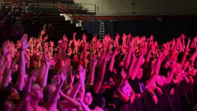 Timeflies Tuesday - Lights Collide HD