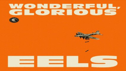 [ PREVIEW + DOWNLOAD ] Eels - Wonderful, Glorious (Deluxe Edition) [ 320kbps ]