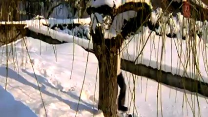 Tumhara Tumhara Sanam • Shukriya (2004) • Hindi Video Music • HD 720p • Blu-Ray Rip - YouTube