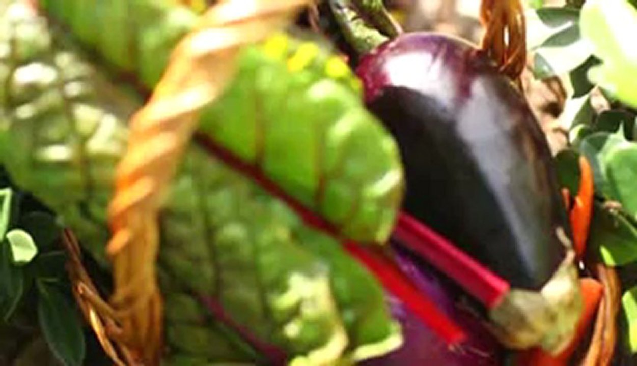 생방송바카라 ☤☣B­a­c­6­6­6.c­o­m☣☤