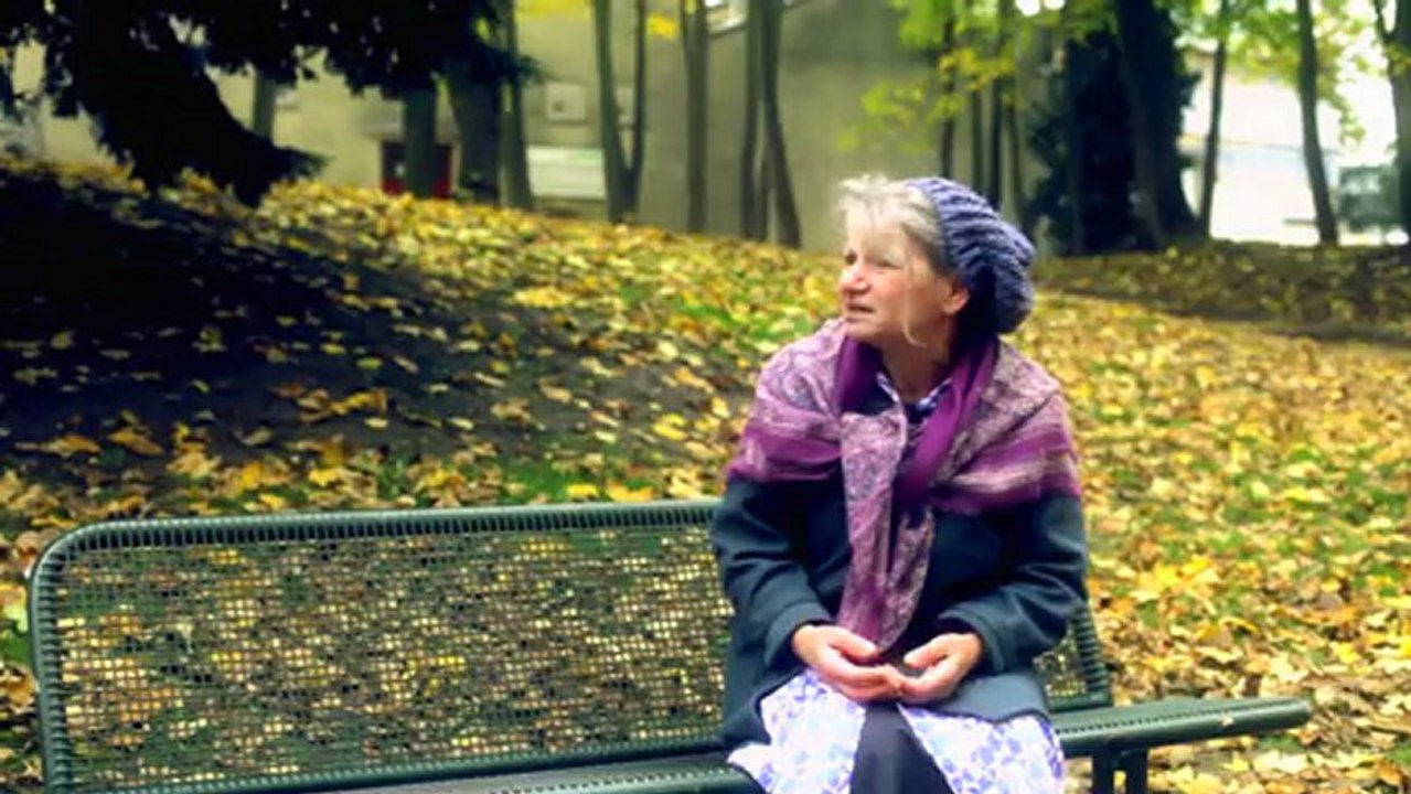 BANC PUBLIC - La vieille Dame et ses Pigeons