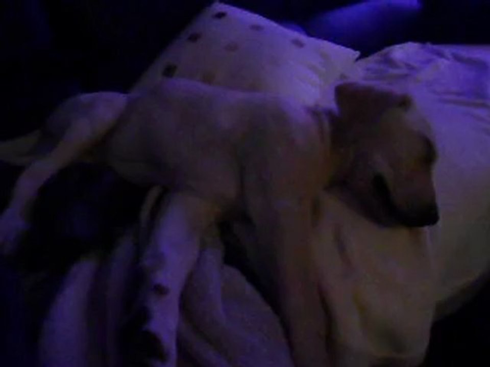 Dodo du soir ! :)