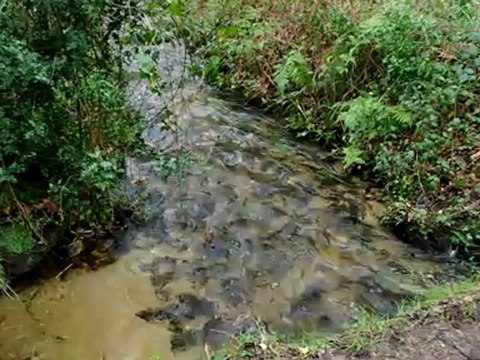 La rivière à l'orée du bois du Quilliou - Plogastel Saint Germain(29)