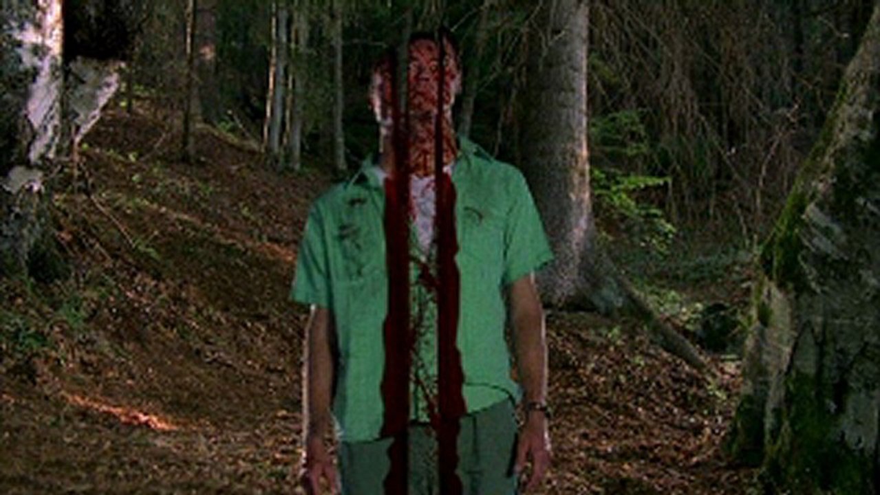 Wrong Turn 3 Left for Dead watch online www.hdmoviespool.com