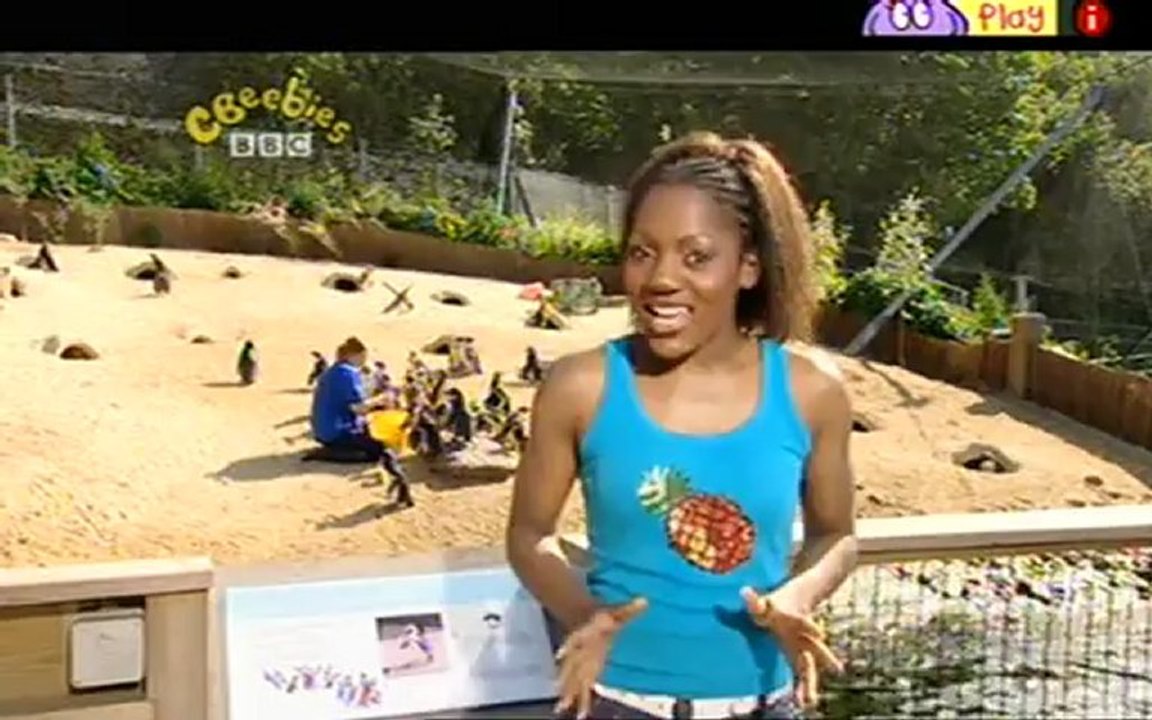 Boogie Beebies - Penguin Bop