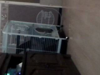 tchoup tchoup atak 2