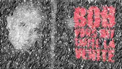 BOB 29 octobre 21H-22H J xx