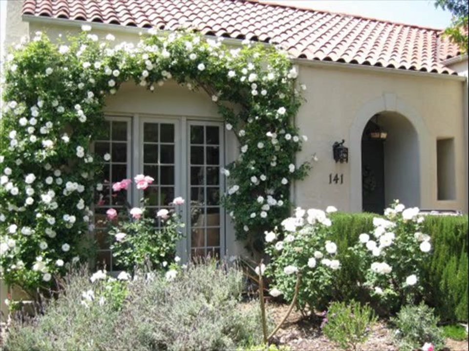 Alone At Last-Coon- Sanders Nighthawks