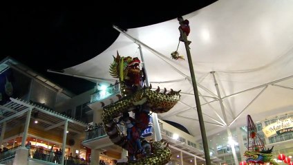 nouvel an chinois année du serpent