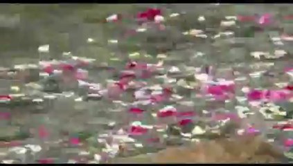 Mediachilena.com | Aymara