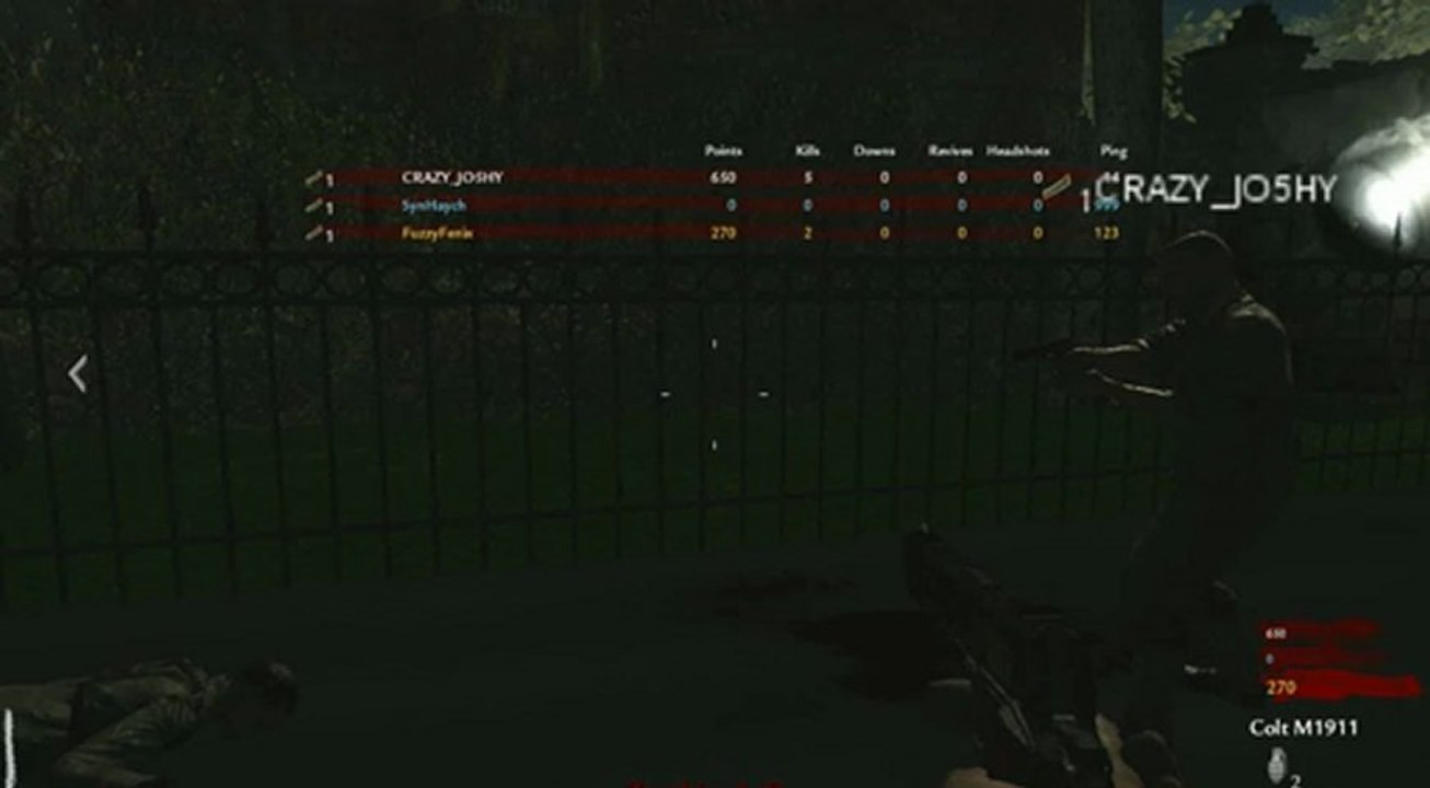 Hysterical Reaction to Nazi Zombies Picture