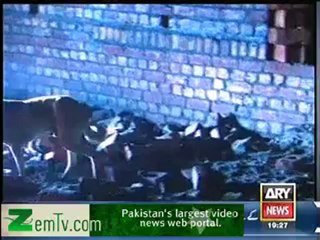 Criminals Most Wanted