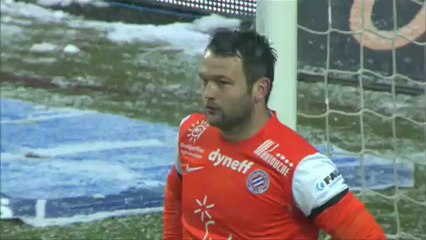 But BRANDAO (13ème) - AS Saint-Etienne - Montpellier Hérault SC (4-1) - saison 2012/2013