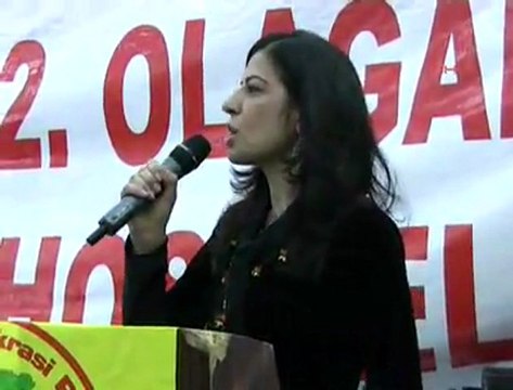 Ayla Akat: ’Kışanak ve Demirtaş İmralı’ya gitmeli’