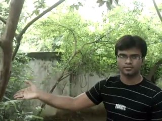 playing card vanish trick