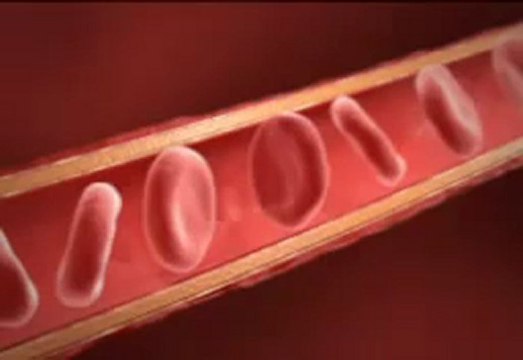 CAPILAIRES les bienfaits de l'aloé véra -