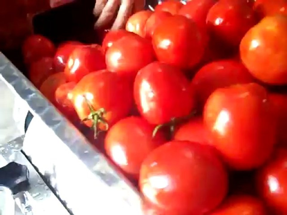 salça makinası bursa,SALÇA MAKİNASI,salça makinaları,salça makina,uçakişmakina,