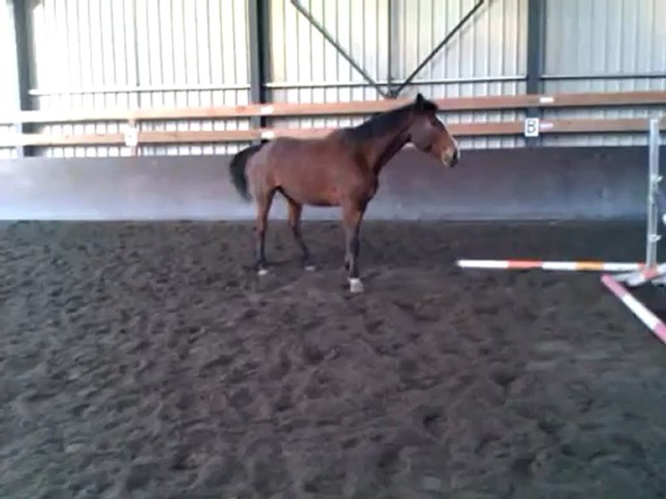 jaidumalamerouler.com