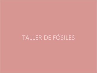TALLER DE NUESTROS  FÓSILES