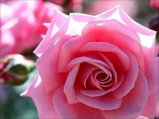 Asiyim Asabiyim Şiir OkuyanTülay Lal //Bahri Gökçe//