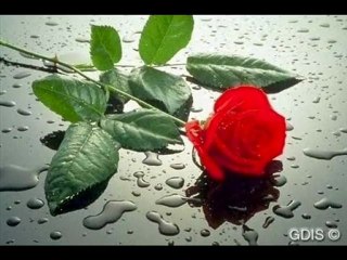 ömer danış ah bu gecelerde- WWW.SESLİYSEN.COM