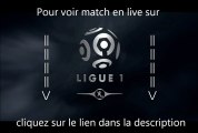 Lyon Lille Streaming OL Losc  10 février 2013