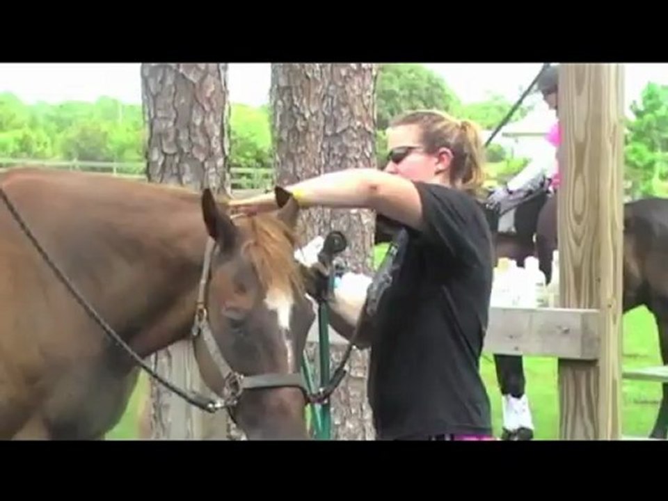 zellidja montage fini