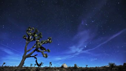 Blue Sense - Endless Blue