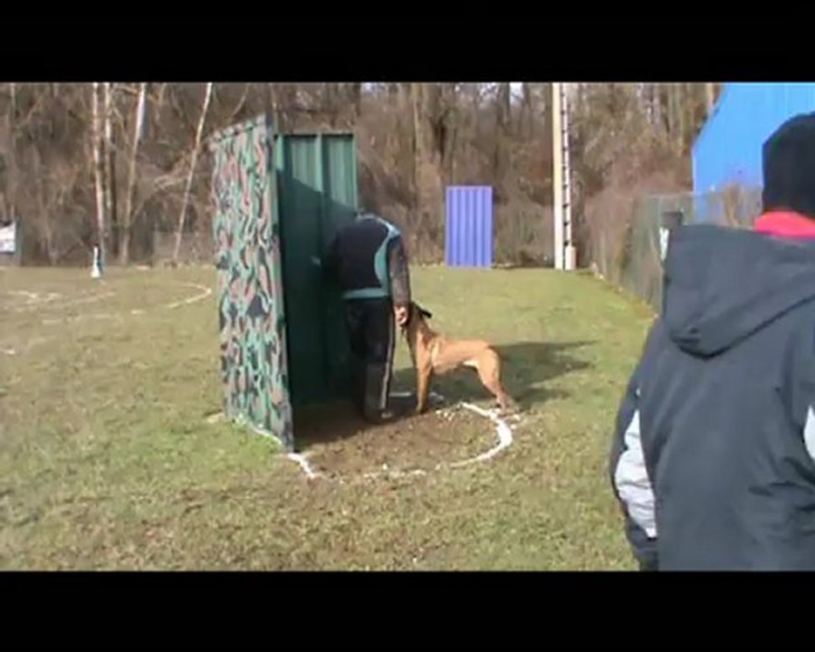 dogtra pré sélectif florange 2013