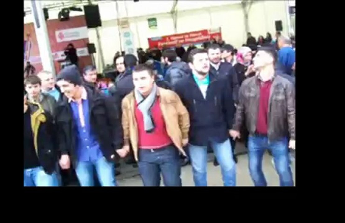 1.HAMSİ VE HORON FESTİVALİ